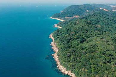 Aster参加国际赛事备受期待，aster战队近况